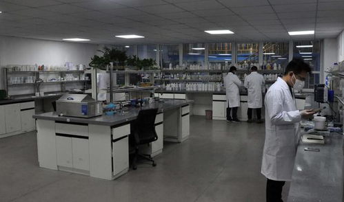 豫企研發(fā)長效防疫抗菌新品 抑菌率達100% 生物技術(shù)賦能健康未來